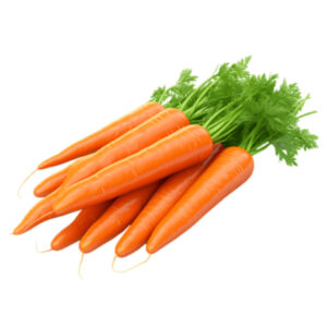 Carrot