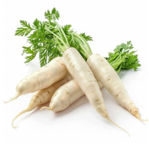 White Radish